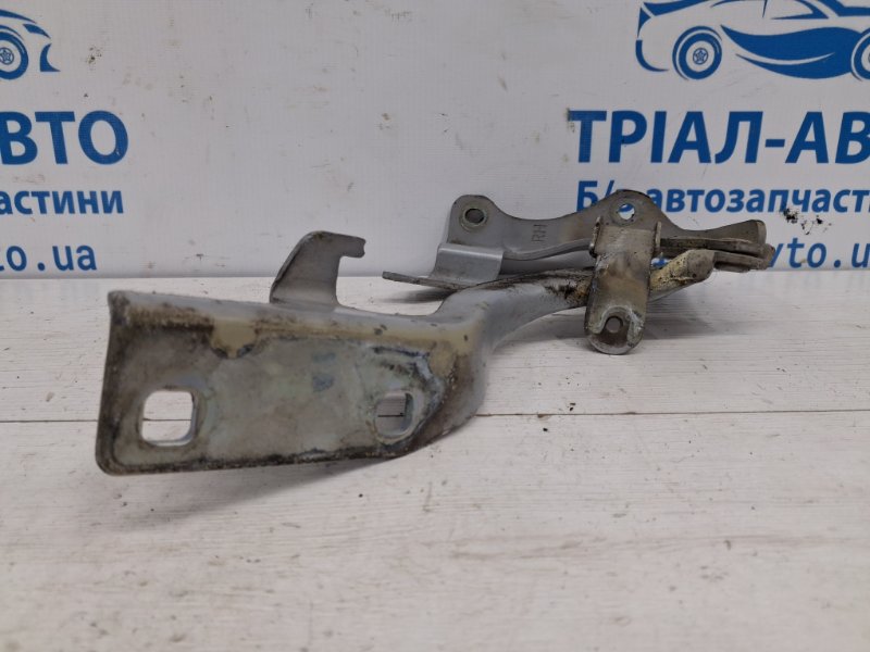 Петля капота правая Chevrolet Captiva C140 2.2 diesel Z22D1