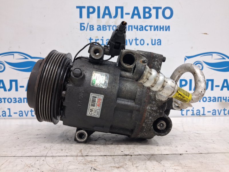 Компрессор кондиционера Hyundai Santa fe CM 2.2 diesel D4HB