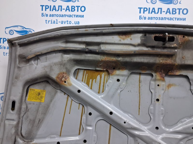 Капот Pajero Wagon 1999-2006 3 3.2 Дизель 4M41