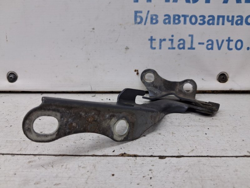 Петля капота правая Toyota Avensis T25 2.2 diesel 2ADFTV