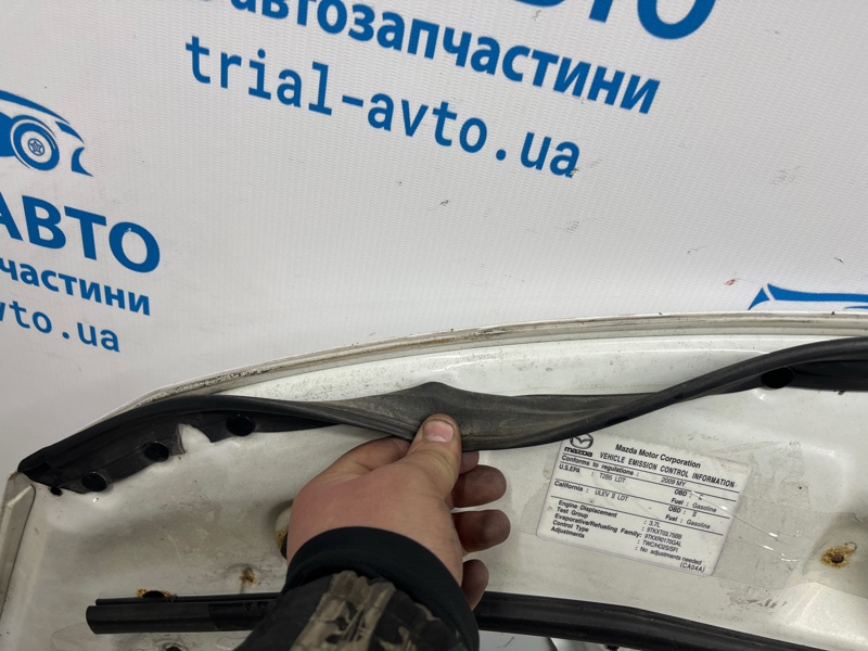 Капот CX 9 2006-2015 TB 3.7 бензин MZI