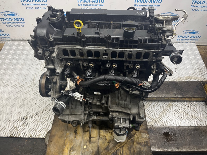 Двигатель Escape 2012-2019 3 2.0 бензин ENR90