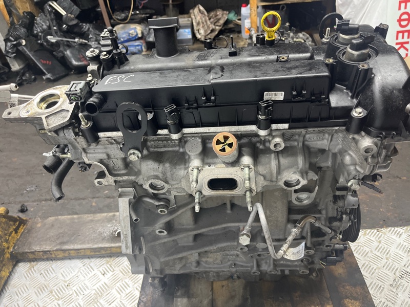 Двигатель Escape 2012-2019 3 2.0 бензин ENR90