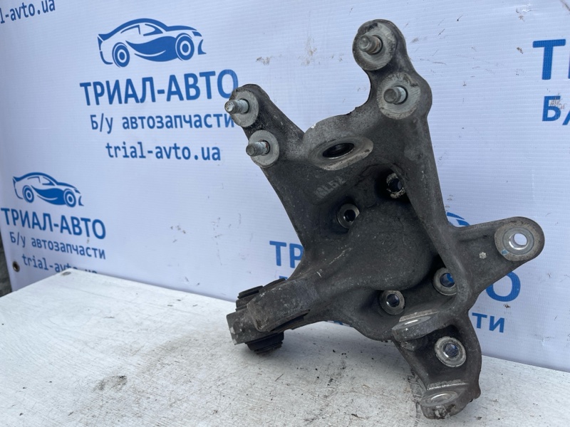 Цапфа задняя правая Optima 2010-2016 TF 2.4 бензин G4KJ