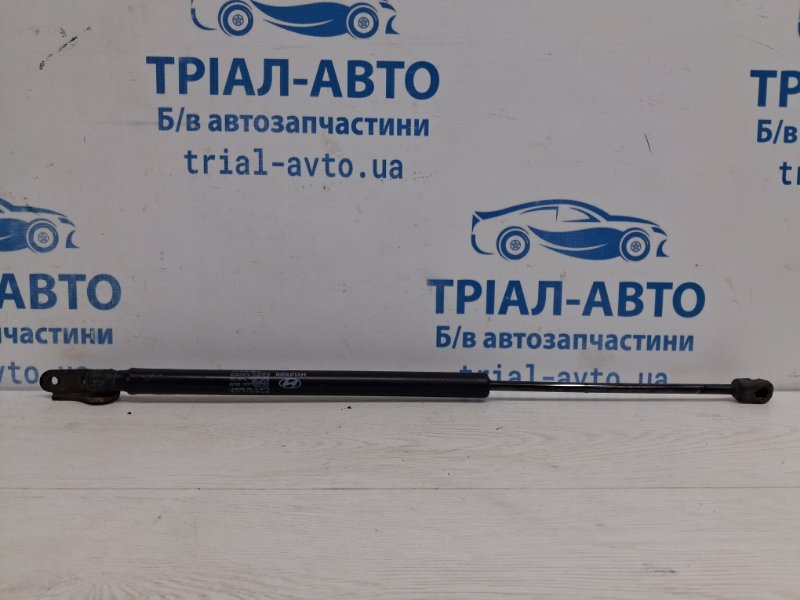 Запчасть амортизатор крышки багажника Hyundai Tucson 2004-2009 JM 2.0 бензин G4GC 817712E000 Б/У Амортизатор крышки багажника Hyundai Tucson 2004-2009 JM 2.0 бензин G4GC 817712E000 Б/У