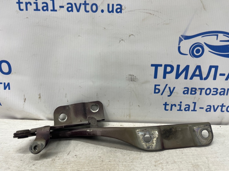 Петля капота левая Optima 2010-2016 TF 2.4 бензин G4KJ Петля капота левая Optima 2010-2016 TF 2.4 бензин G4KJ