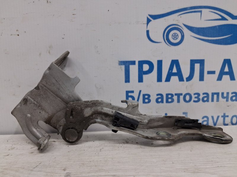 Запчасть петля капота правая Hyundai I30 2007-2012 FD 1.6 diesel D4FB 791202L000 Б/У Петля капота правая Hyundai I30 2007-2012 FD 1.6 diesel D4FB 791202L000 Б/У
