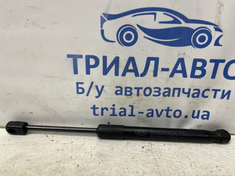 Запчасть амортизатор капота Kia Sorento 2014-2020 UM 2.4 бензин G4KJ 811812B000WK Б/У Амортизатор капота Kia Sorento 2014-2020 UM 2.4 бензин G4KJ 811812B000WK Б/У