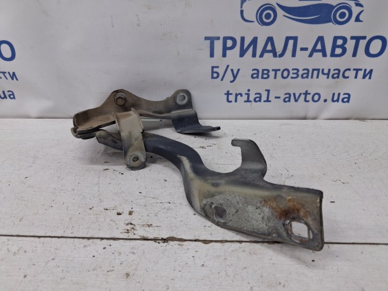 Петля капота левая Chevrolet Captiva C100 2.0 Дизель Z20S Петля капота левая Chevrolet Captiva C100 2.0 Дизель Z20S