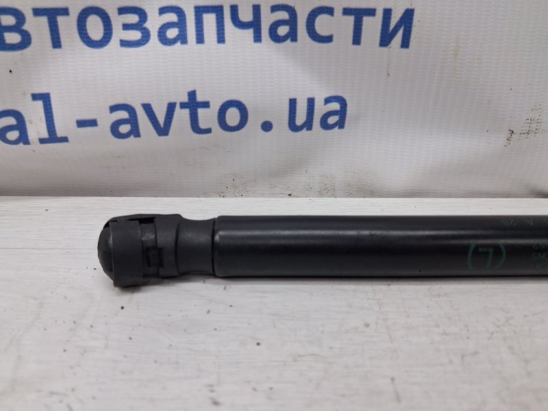 Амортизатор капота Edge 2015-2018 2 2.0 бензин ENR90 Амортизатор капота Edge 2015-2018 2 2.0 бензин ENR90