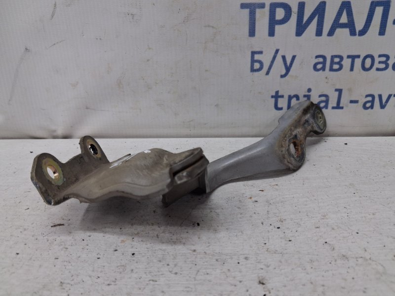 Петля капота левая Chevrolet Epica V250 2.5 бензин X25D1 Петля капота левая Chevrolet Epica V250 2.5 бензин X25D1