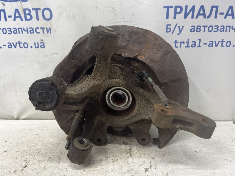 Запчасть цапфа задняя левая Hyundai Tucson 2004-2009 JM 2.0 diesel D4EA 527502E500 Б/У Цапфа задняя левая Hyundai Tucson 2004-2009 JM 2.0 diesel D4EA 527502E500 Б/У