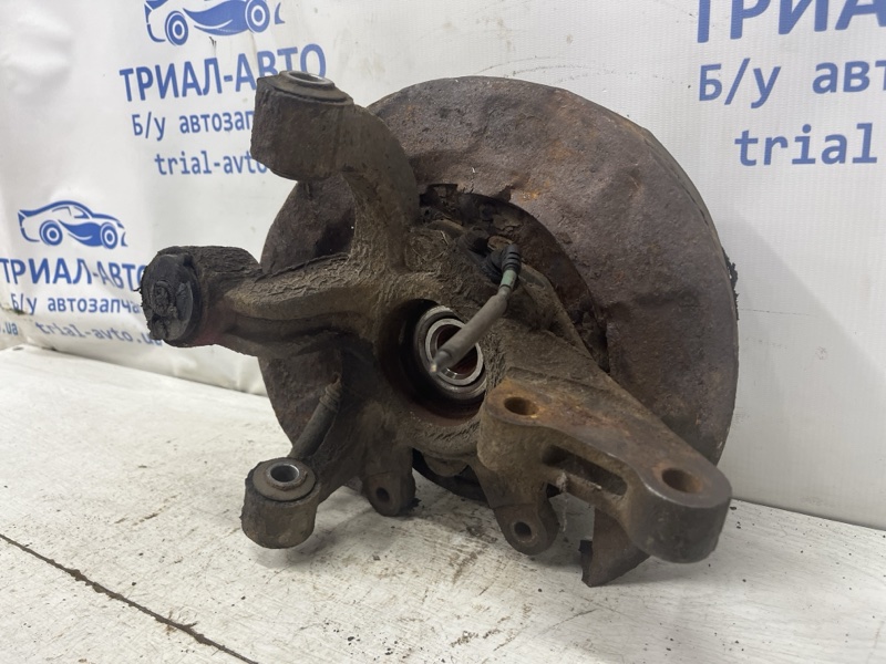 Цапфа задняя левая Tucson 2004-2009 JM 2.0 diesel D4EA Цапфа задняя левая Tucson 2004-2009 JM 2.0 diesel D4EA