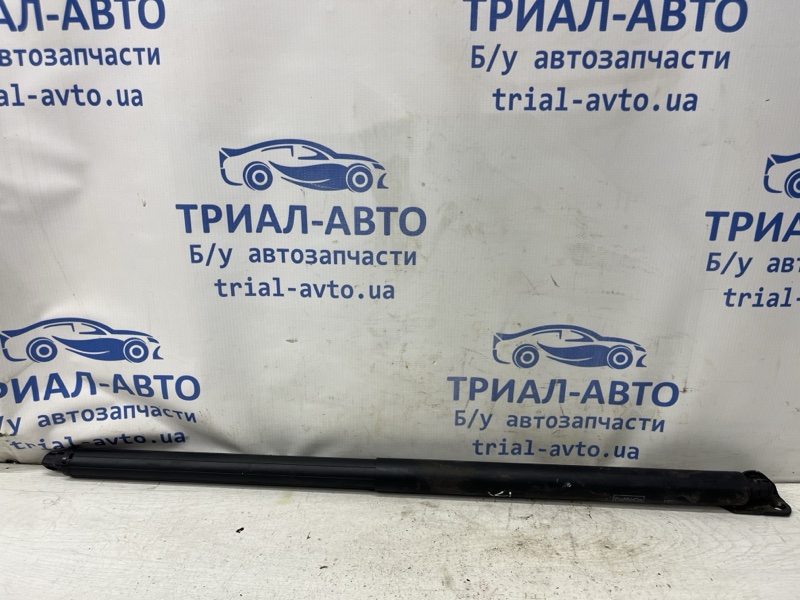 Запчасть амортизатор крышки багажника Ford Kuga 2011-2019 CBS 2.0 diesel 5188513 Б/У Амортизатор крышки багажника Ford Kuga 2011-2019 CBS 2.0 diesel 5188513 Б/У