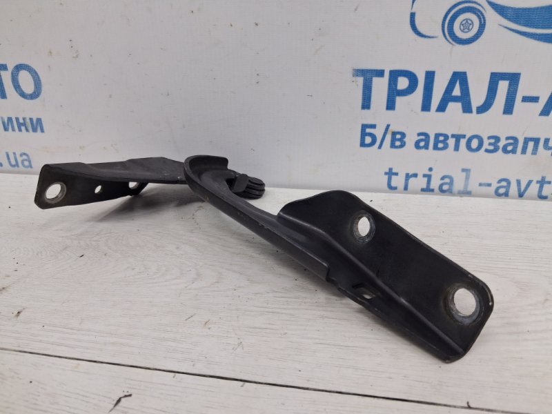 Петля капота левая Outlander 2007-2012 XL 2.2 diesel 4N14 Петля капота левая Outlander 2007-2012 XL 2.2 diesel 4N14