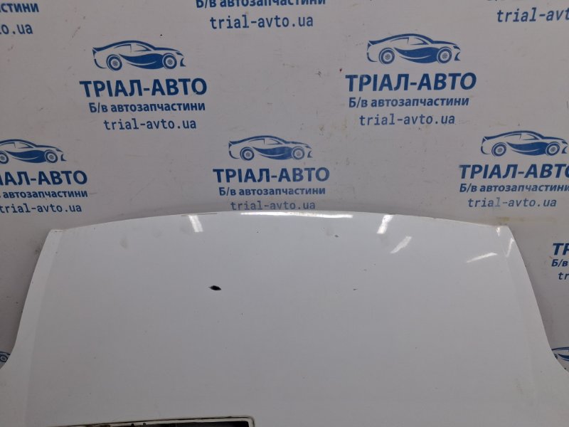 Капот Trafic 2001-2014 FL M9R Капот Trafic 2001-2014 FL M9R