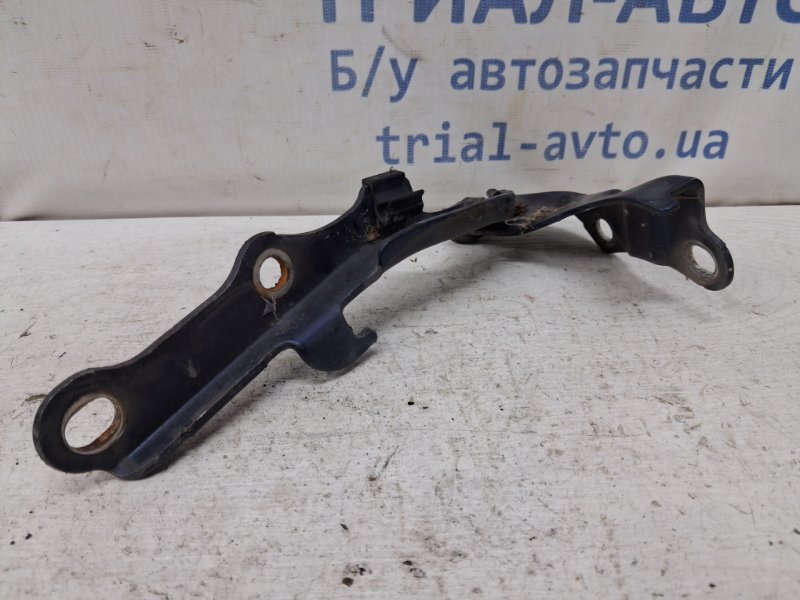 Петля капота правая Prado 2002-2009 J120 3.0 Diesel 1KDFTV Петля капота правая Prado 2002-2009 J120 3.0 Diesel 1KDFTV