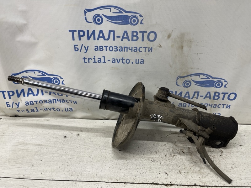 Запчасть амортизатор передний правый Toyota Camry 2001-2006 XV30 2.4 Бензин 2AZFE 48510-80039 Б/У Амортизатор передний правый Toyota Camry 2001-2006 XV30 2.4 Бензин 2AZFE 48510-80039 Б/У
