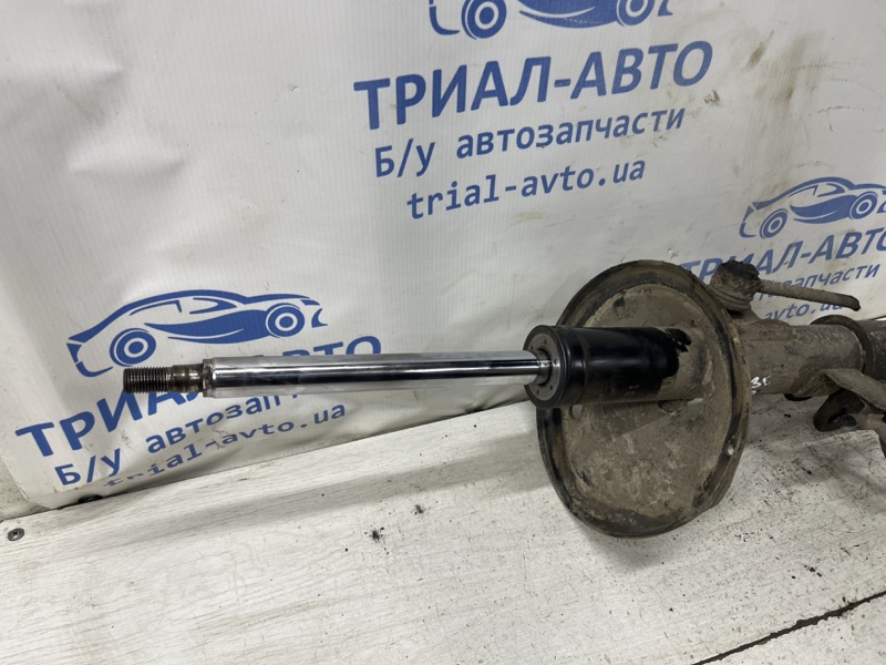 Амортизатор передний правый Camry 2001-2006 XV30 2.4 Бензин 2AZFE Амортизатор передний правый Camry 2001-2006 XV30 2.4 Бензин 2AZFE
