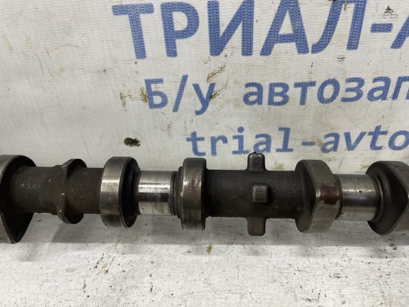 Распредвал впускной Camry 2001-2006 XV30 2.4 Бензин 2AZFE Распредвал впускной Camry 2001-2006 XV30 2.4 Бензин 2AZFE