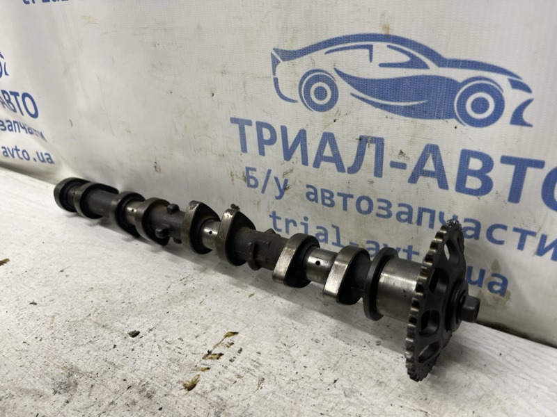 Распредвал выпускной Camry 2001-2006 XV30 2.4 Бензин 2AZFE Распредвал выпускной Camry 2001-2006 XV30 2.4 Бензин 2AZFE