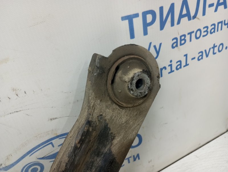 Рычаг передний нижний правый Note 2005-2013 E12 1.4 CR14DE Рычаг передний нижний правый Note 2005-2013 E12 1.4 CR14DE