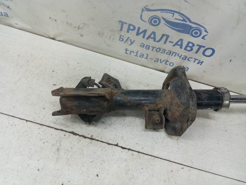 Амортизатор передний левый Tiida 2004-2014 C11 1.6 Бензин HR16 Амортизатор передний левый Tiida 2004-2014 C11 1.6 Бензин HR16
