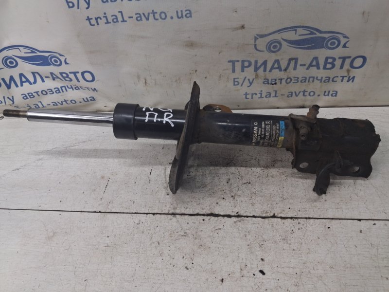 Амортизатор передний правый Nissan Qashqai 2006-2013 J10 1.6 diesel R9M E4302BR04A Б/У