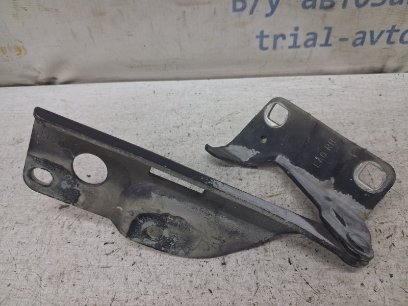 Запчасть петля капота правая Nissan Navara 2004-2015 D40 2.5 Diesel YD25DDTI 65400ZP00A Б/У Петля капота правая Nissan Navara 2004-2015 D40 2.5 Diesel YD25DDTI 65400ZP00A Б/У
