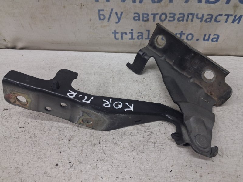 Запчасть петля капота правая SsangYong Korando 2010-2019 C200 2.0 diesel D20DTF 7847034002 Б/У Петля капота правая SsangYong Korando 2010-2019 C200 2.0 diesel D20DTF 7847034002 Б/У