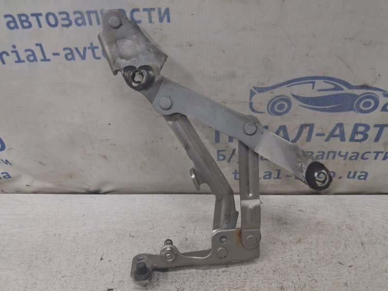 Петля крышки багажника левая Mitsubishi Lancer 2007-2017 10 1.5 бензин 4a91 5923A013 Б/У