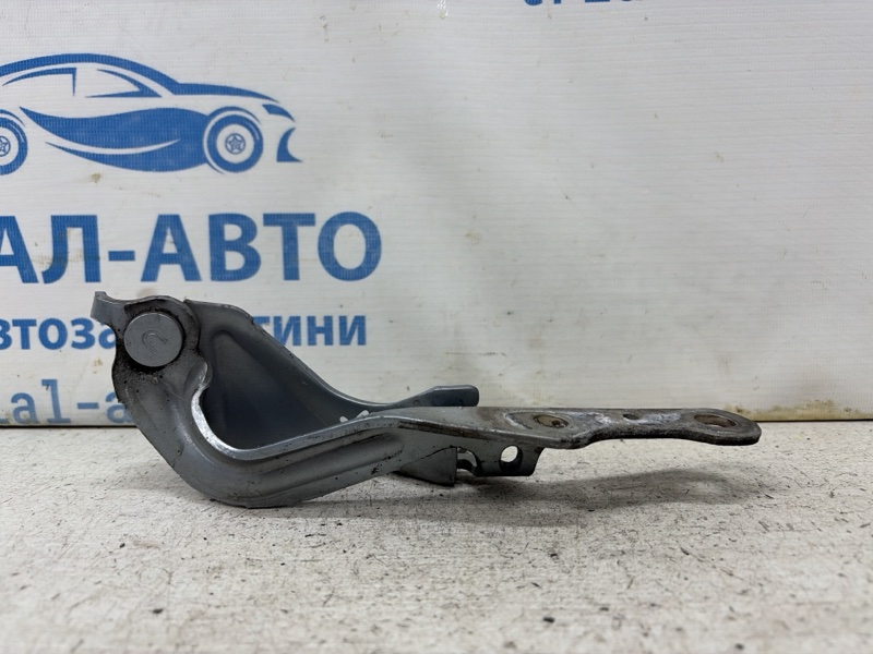 Петля капота левая RX 350 2003-2009 XU30 3.5 Бензин 2GRFE Петля капота левая RX 350 2003-2009 XU30 3.5 Бензин 2GRFE