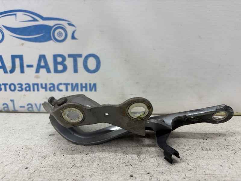 Петля капота правая Lexus RX 350 XU30 3.5 Бензин 2GRFE Петля капота правая Lexus RX 350 XU30 3.5 Бензин 2GRFE