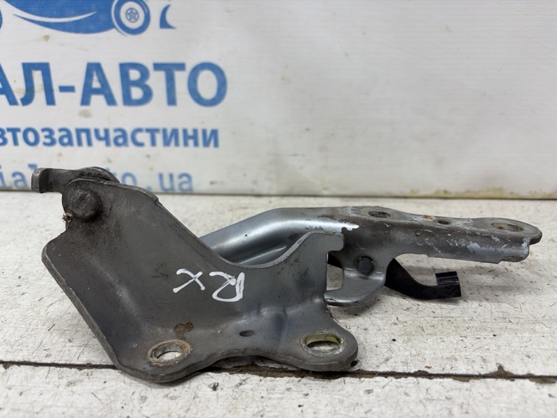 Петля капота правая RX 350 2003-2009 XU30 3.5 Бензин 2GRFE Петля капота правая RX 350 2003-2009 XU30 3.5 Бензин 2GRFE