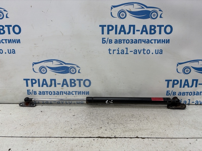 Запчасть амортизатор крышки багажника левый Lexus RX 350 2003-2009 XU30 3.5 Бензин 2GRFE 6896049185 Б/У Амортизатор крышки багажника левый Lexus RX 350 2003-2009 XU30 3.5 Бензин 2GRFE 6896049185 Б/У