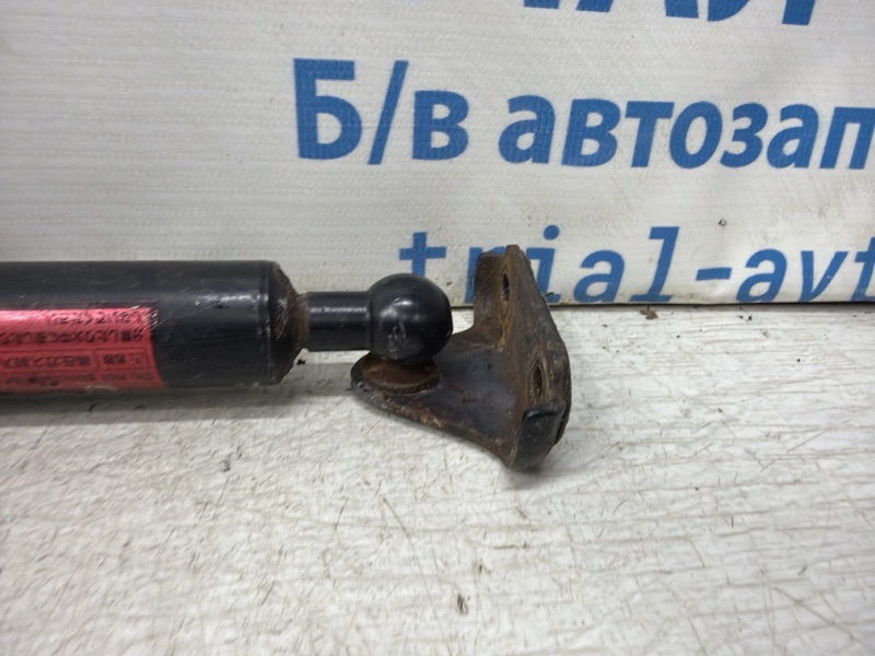 Амортизатор крышки багажника правый RX 350 2003-2009 XU30 3.5 Бензин 2GRFE Амортизатор крышки багажника правый RX 350 2003-2009 XU30 3.5 Бензин 2GRFE