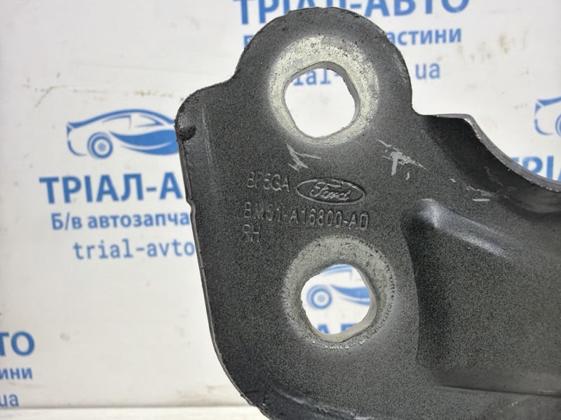 Петля капота правая Kuga 2011-2019 CBS 2.0 diesel Петля капота правая Kuga 2011-2019 CBS 2.0 diesel