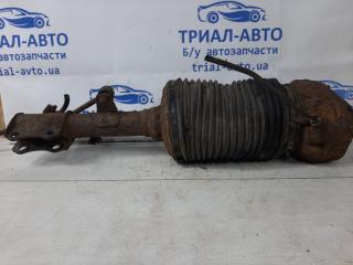 Амортизатор задний правый RX 350 2003-2009 XU30 3.5 Бензин 2GRFE Амортизатор задний правый RX 350 2003-2009 XU30 3.5 Бензин 2GRFE