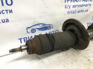 Амортизатор передний левый Captiva 2011-2018 C140 2.2 diesel Z22D1 Амортизатор передний левый Captiva 2011-2018 C140 2.2 diesel Z22D1