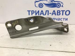 Петля капота левая Nissan Pathfinder R51 2.5 Diesel YD25DDTI Петля капота левая Nissan Pathfinder R51 2.5 Diesel YD25DDTI