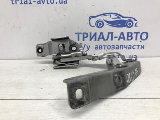 Петля капота правая Q50 2013- V37 2.2 diesel OM651