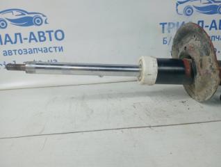 Амортизатор передний правый Captiva 2006-2011 C100 2.4 бензин Z24SED Амортизатор передний правый Captiva 2006-2011 C100 2.4 бензин Z24SED