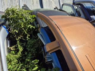 Крыша Captiva 2006-2018 C100 2.4 бензин Z24SED