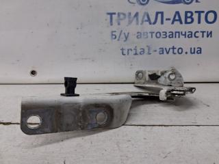 Петля капота правая ASX 2010- GA 1.8 Diesel 4N13