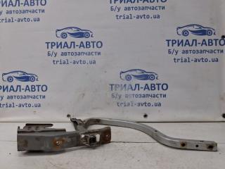 Петля крышки багажника Camry 2006-2011 XV40 2.4 Бензин 2AZFE