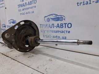 Амортизатор задний левый Camry 2006-2011 XV40 2.4 Бензин 2AZFE