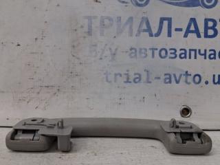 Ручка потолка Nissan Pathfinder R51 2.5 Diesel YD25DDTI