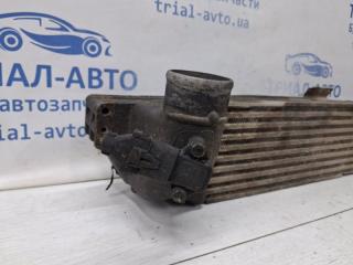 Радиатор интеркуллера Sorento 2002-2011 BL 2.5 diesel D4CB