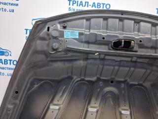 Капот Juke 2010-2019 F15 1.6 turbo MR16DDT