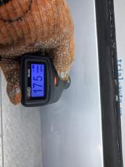 Дверь передняя левая Outlander 2003-2006 cu 2.4 бензин 4G69